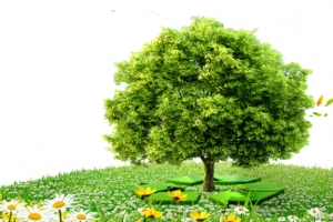 校园文化展板环保海报设计素材-高清PNG透明植物装饰元素免费下载