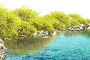 湖边美景