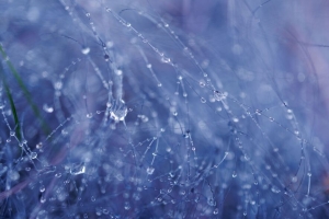 滴 水 雨 钓鱼线 宏观 4k壁纸 3840x2160
