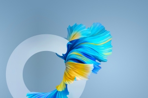 华为 Huawei Mate 40 Pro 未来之翼 高清 原图 壁纸 2772x2772