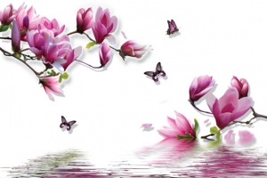 玉兰花花纹素材