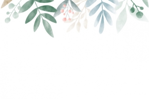 花叶边框背景