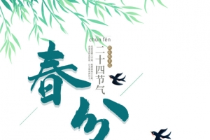春分燕子柳树花瓣花丛