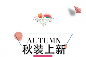 小清新秋季秋装