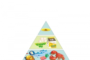 金字塔，膳食宝塔，营养元素，食物链