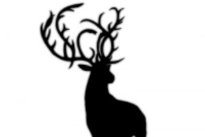 鹿，免扣，元素，好看的