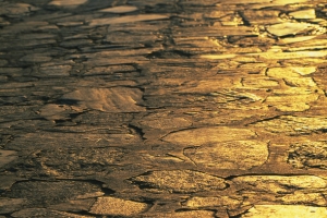 阳光下石板高清PNG透明背景设计素材免费下载