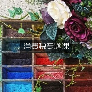 消费税深度解析专题课程