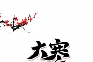 大寒梅花树枝装饰元素图