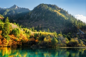 秋天 森林 树木 九寨沟风景4K壁纸