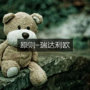 原则-瑞达利欧，提升个人能力的必读之书