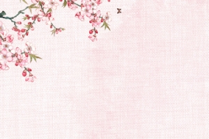 桃花节文艺小清新纹理粉banner