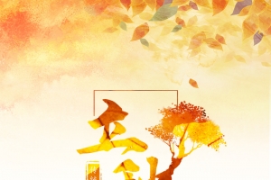 秋天秋季立秋树叶落叶