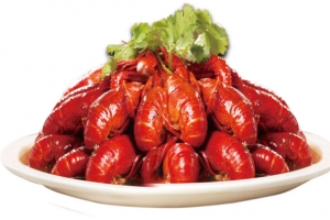 龙虾高清PNG透明装饰元素动物设计素材免费下载