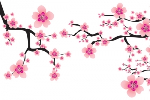 立冬冬天梅花10