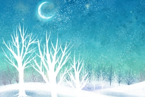 雪森林banner