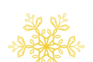金色雪花