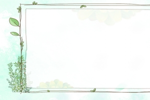 清新植物背景banner