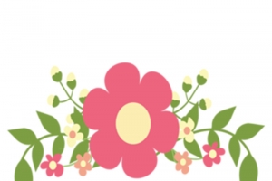 漂亮的小红花