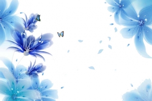 百合花蝴蝶