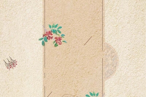 古风天然花椒宣传