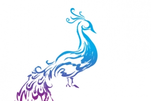 孔雀