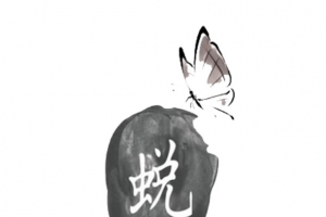 破茧成蝶蜕变
