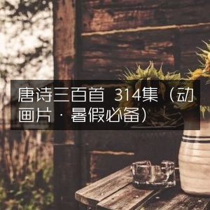 唐诗三百首动画片，314集暑假精选