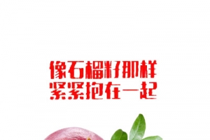 像石榴籽一样团结