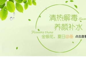 金银花banner