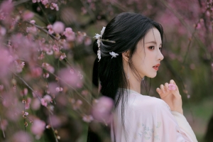 刘些宁 侧脸古风美女3000x2000壁纸