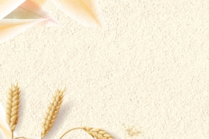 你好秋天平面黄色质感简约banner