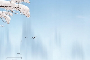 霜降中国二十四节气海报