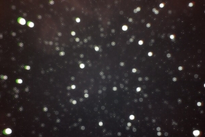 白色漂浮雪花白点