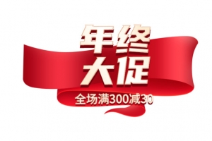 年终大促  字体 促销标题  大促标题