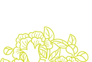 白描十二月份花卉矢量图