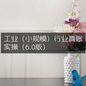 工业小规模行业真账实操6.0版实战指南