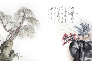 水墨柳树丹青