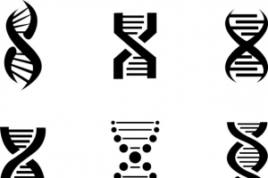 黑色螺旋线