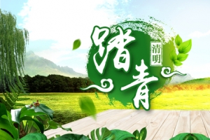 绿色清明节放风筝踏青banner