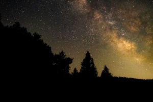 棵树 剪影 银河 星空 夜间 4k壁纸 3840x2160
