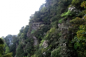 江西井冈山风景七