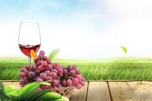 葡萄美酒景色大气banner