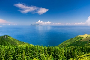天空云海树木地平线远景海岸岛屿高清车机风景壁纸3200x2000免费下载