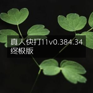 真人快打11 终极版 v0.384.34