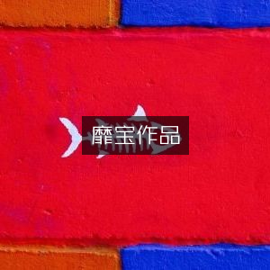靡宝著作，文学艺术精品书籍