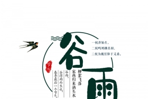 谷雨主标题文案版式