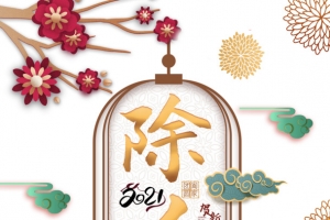 春节除夕剪纸花朵祥云