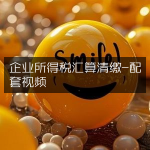 企业所得税汇缴清算实操指南，配套视频教程