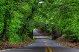 绿色树林 乡村道路 4K风景护眼壁纸